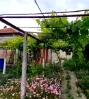 Къща в Добрич, с. Дропла