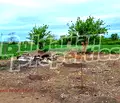 Снимка 5 — Къща в Добрич, с. Генерал Колево