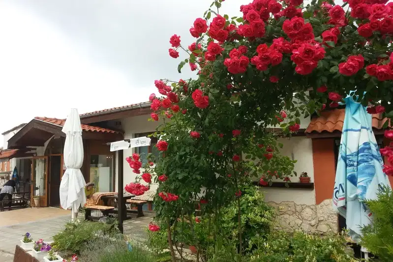 House in Oblast Dobrich, Kranevo