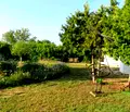 Снимка 2 — Къща в Добрич, с. Крапец