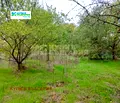 Снимка 5 — Къща в Добрич, с. Полковник Свещарово