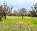 Снимка 4 — Къща в Добрич, с. Преспа