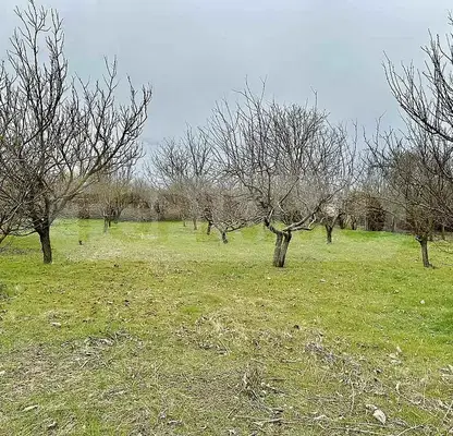 Photo 4 — House in Dobrich, Prespa