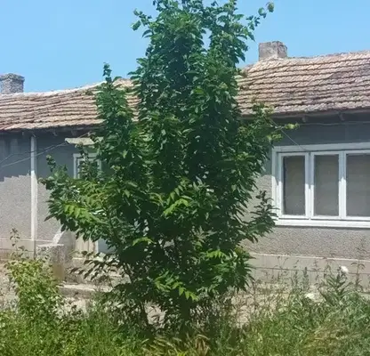 Photo 2 — House in Oblast Dobrich, Smin