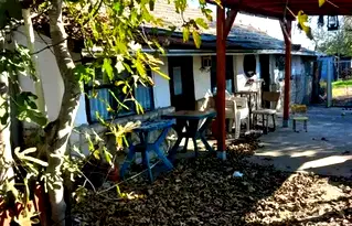 Къща в Добрич, с. Спасово