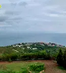 Къща в Добрич, с. Топола