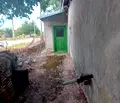 Снимка 4 — Къща в Добрич, с. Ваклино