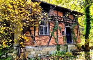 Къща в Габрово, Плачковци