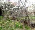 Снимка 3 — Къща в Габрово, Севлиево