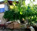 Снимка 2 — Къща в Габрово, с. Богатово