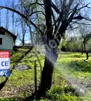 Къща в Габрово, с. Боженците