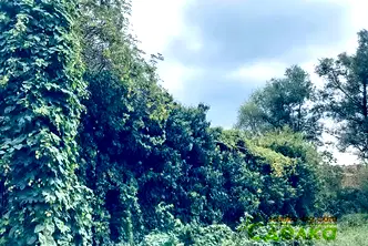 Къща в Габрово, с. Буря
