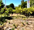 Снимка 3 — Къща в Габрово, с. Гостилица