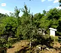 Снимка 4 — Къща в Габрово, с. Съботковци