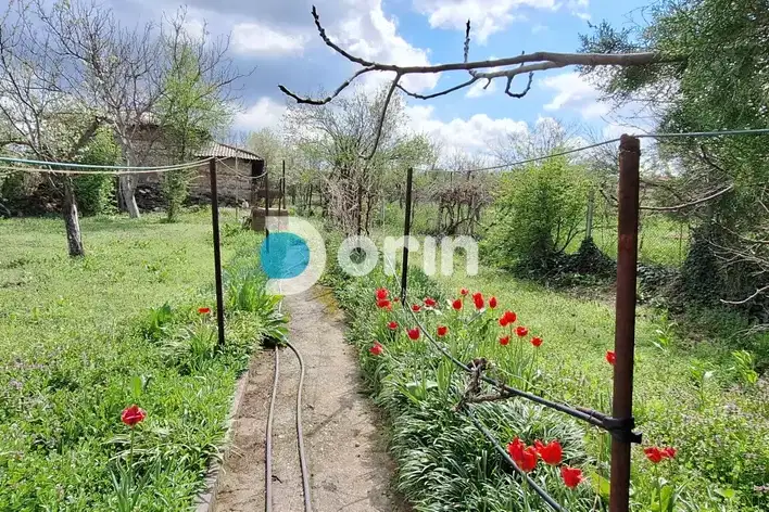 House in Oblast Haskovo, Aleksandrovo