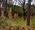 Снимка 2 — Къща в Кюстендил, Бобошево