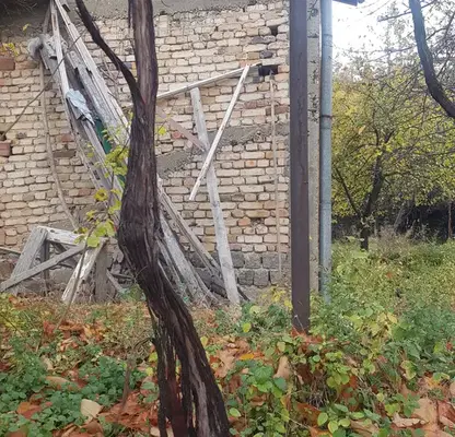 Photo 4 — House in Oblast Kyustendil, Boboshevo