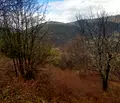 Снимка 2 — Къща в Кюстендил, Бобошево