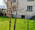 Снимка 3 — Къща в Кюстендил, Дупница