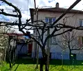 Снимка 5 — Къща в Кюстендил, Дупница