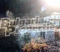 Снимка 2 — Къща в Кюстендил, Сапарева баня