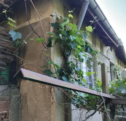 Снимка 3 — Къща в Кюстендил, с. Баланово
