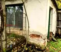 Снимка 5 — Къща в Кюстендил, с. Четирци