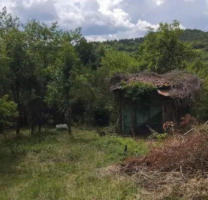 Photo 4 — House in Oblast Kyustendil, Eremiya