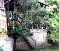 Снимка 5 — Къща в Кюстендил, с. Грамаждано