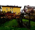 Снимка 3 — Къща в Кюстендил, с. Жиленци