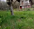 Снимка 2 — Къща в Кюстендил, с. Кременик