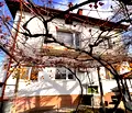 Снимка 4 — Къща в Кюстендил, с. Мало село