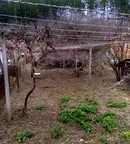 Къща в Кюстендил, с. Невестино