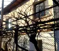 Снимка 5 — Къща в Кюстендил, с. Палатово