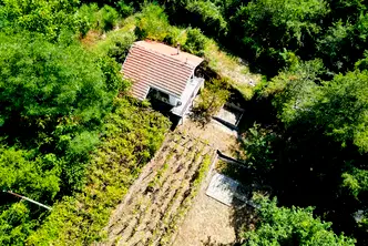 Къща в Кюстендил, с. Самораново