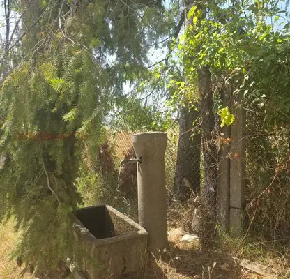 Снимка 3 — Къща в Кюстендил, с. Сапарево