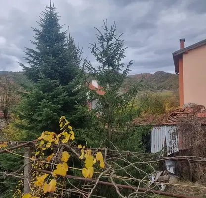 Photo 3 — House in Oblast Kyustendil, Stob