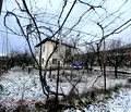 Снимка 3 — Къща в Кюстендил, с. Ваксево
