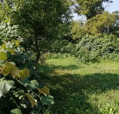 Снимка 5 — Къща в Ловеч, Априлци