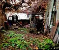 Снимка 5 — Къща в Ловеч, Тетевен
