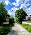 Къща в Ловеч, с. Голяма Желязна