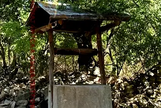 Къща в Ловеч, с. Горско Сливово