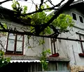 Снимка 3 — Къща в Ловеч, с. Крушуна