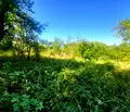 Снимка 5 — Къща в Ловеч, с. Старо село