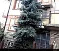Снимка 3 — Къща в Монтана, Лом