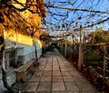 Снимка 5 — Къща в Пазарджик, Септември