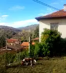 Къща в Пазарджик, с. Церово