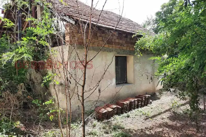 House in Oblast Pazardjik, Dyulevo