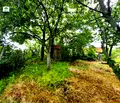 Снимка 5 — Къща в Пазарджик, с. Паталеница