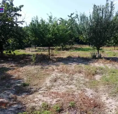 Снимка 5 — Къща в Пазарджик, с. Щърково